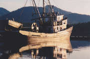 Wooden seine boat Chelsea Lake. Sank 1987